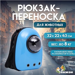 Рюкзак для переноски кошек и собак, с окном, 32×22×43 см, голубой