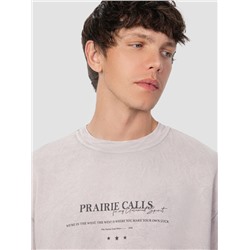 СВИТШОТ МУЖСКОЙ 121801/1