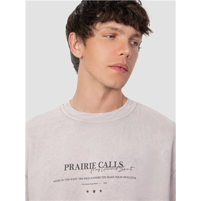 СВИТШОТ МУЖСКОЙ 121801/1