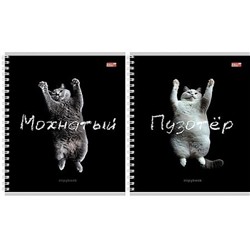 Тетрадь  48л клетка на спирали "ЗАБАВНЫЕ КОТЫ - 2" 48-4849 Проф-Пресс