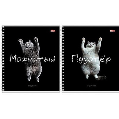 Тетрадь  48л клетка на спирали "ЗАБАВНЫЕ КОТЫ - 2" 48-4849 Проф-Пресс