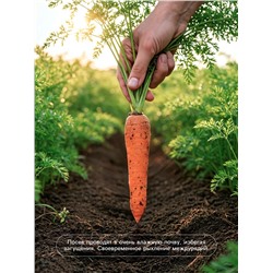 Семена Морковь, «Карибоу», F1, 200 шт., Seminis, «Агрос»