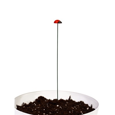 Штекер садовый «Божья коровка дарли», 2.5 см, h=25 см, набор 10 шт.