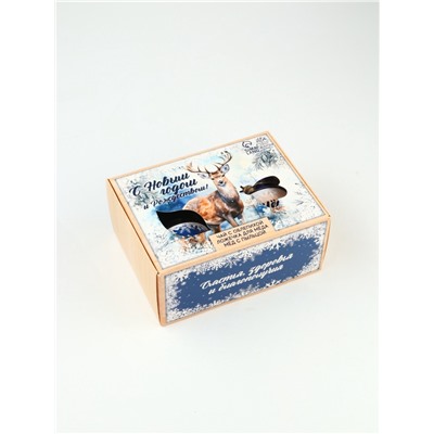 Подарочный набор новогодний «С новым годом и Рождеством», мёд с пыльцой 250 г, чай 50 г, ложка