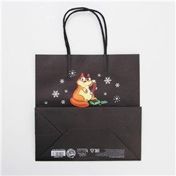 Пакет подарочный новогодний «Это лучше, чем», 22×22×11 см