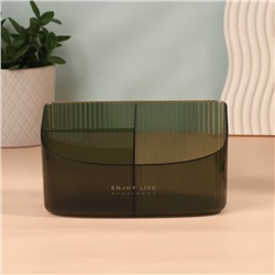 Органайзер для хранения «GREEN», 3 секции, 18.5×9.5×10 см, полупрозрачный, зелёный