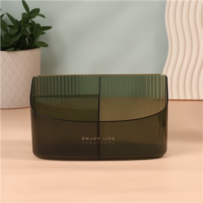 Органайзер для хранения «GREEN», 3 секции, 18.5×9.5×10 см, полупрозрачный, зелёный