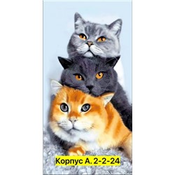 Полотенце #22781028