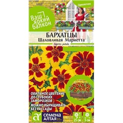 Бархатцы Шаловливая Мариетта (Алтай)