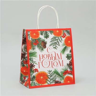 Пакет подарочный новогодний крафтовый «Новогоднее чудо», 22×25×12 см