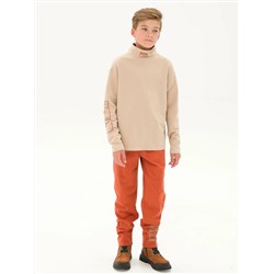 PELICAN Брюки BFPQ5296U