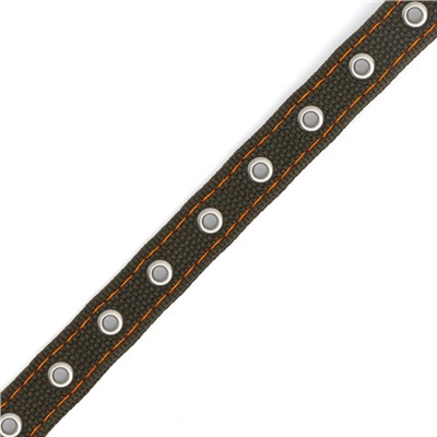 Ошейник брезентовый безразмерный двухслойный, 50×2 см, ОШ 22-45 см