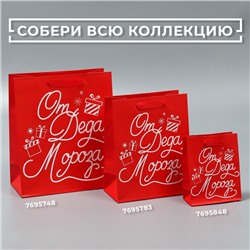 Пакет подарочный новогодний ламинированный «Новогодний подарочек», ML 23×27×11.5 см