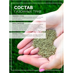 Газонная травосмесь «Быстрый газон», 1 кг