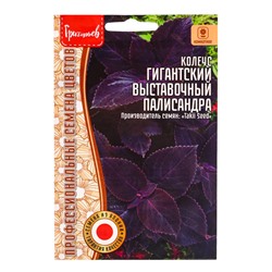 Семена цветов Колеус Гигантский Выставочный Палисандра (Giant Exhibition Palisandra) 3 шт. 12.29 г