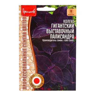 Семена цветов Колеус Гигантский Выставочный Палисандра (Giant Exhibition Palisandra) 3 шт. 12.29 г