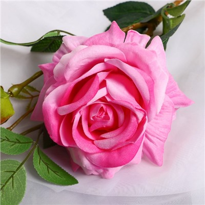 Цветы искусственные «Роза Вхите», h=66 см, розовые