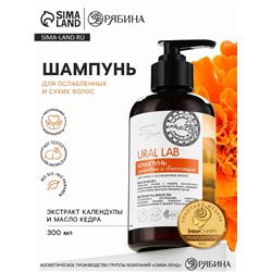 Шампунь для сухих и ослабленных волос с маслом кедра и экстрактом календулы, здоровые и блестящие, 300 мл, ECO LAB by URAL LAB