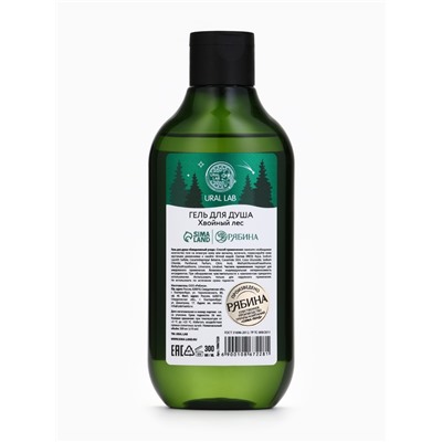 Новогодний подарочный набор косметики Bright Christmas night: гель для душа, 300 мл и бомбочки для ванны, 4×40 г, URAL LAB