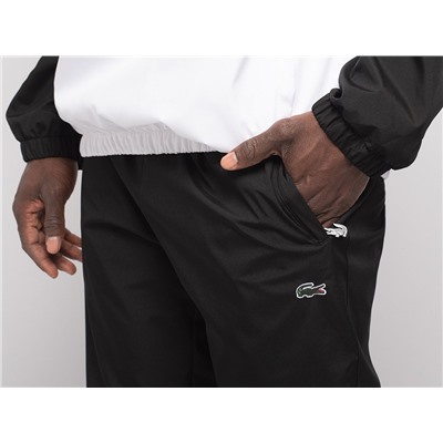Спортивный костюм Lacoste