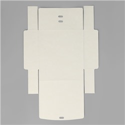 Коробка подарочная новогодняя складная «Новогодняя ботаника», 20×18×5 см, Новый год