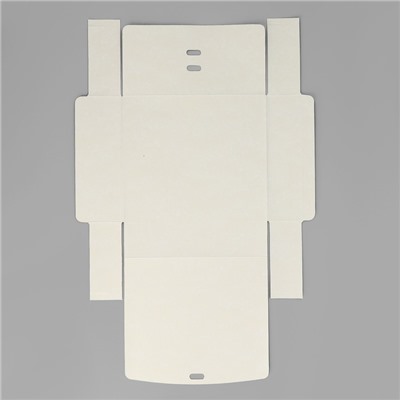 Коробка подарочная новогодняя складная «Новогодняя ботаника», 20×18×5 см, Новый год