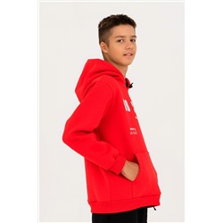 Толстовка 1568 НАТАЛИ, 875186