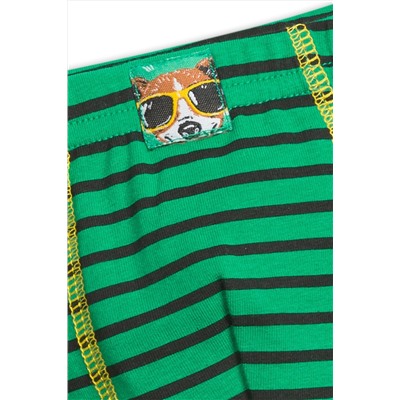 Трусы 2 шт. PELICAN, 227413