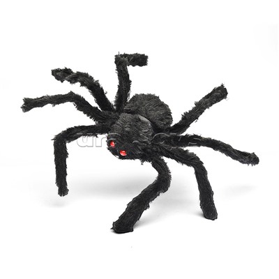 Паук "Grammostola" для розыгрыша