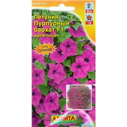 Петуния Пурпурный бархат F1 (Код: 70922)