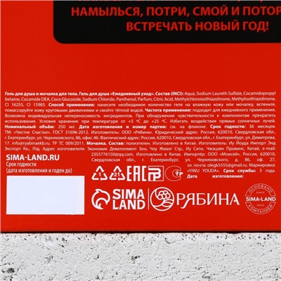 Подарочный набор новогодний «Ничего», гель для душа 250 мл и мочалка для тела, Чистое счастье
