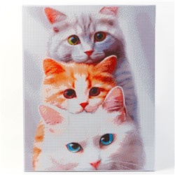 УЦЕНКА Алмазная вышивка полное заполнение "Котята", на раме, 40*50 см