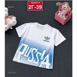 футболка 1720740-3