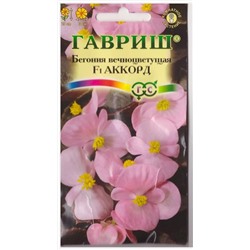 Бегония Аккорд F1 вечноцв (Код: 13917)