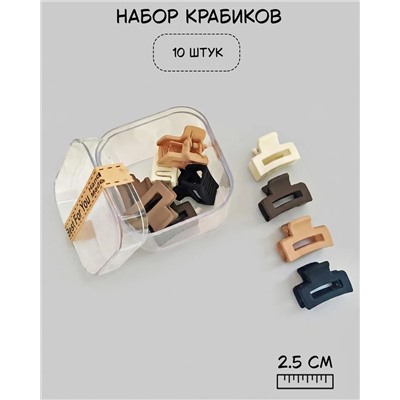 Набор крабиков для волос в боксе (10 шт)