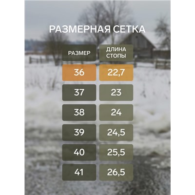 Галоши женские, размер 36, фиолетовые