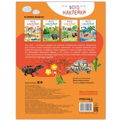 Фотонаклейки. В Африке