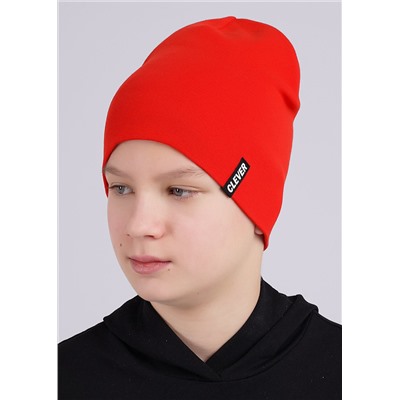 452548 CLEVER Шапка