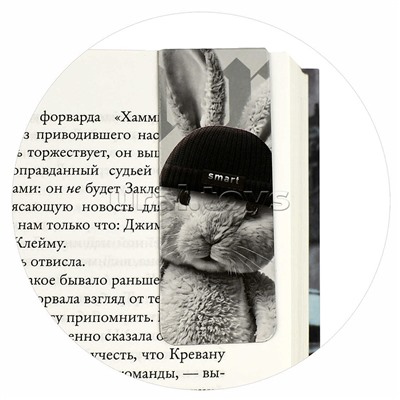Набор закладок магнитных для книг "Звери в шапочках" (2 шт. в наборе)