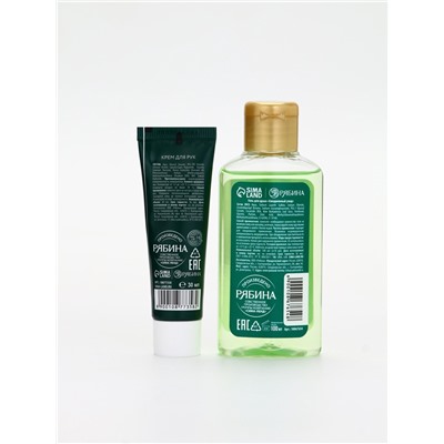 Подарочный набор новогодний: гель для душа, крем для рук и пилка для ногтей, аромат яблоко, URAL LAB