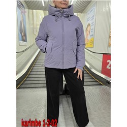 Куртка осень 1983628-2