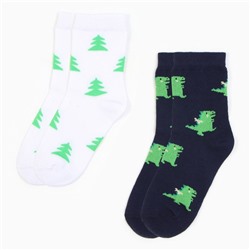 Носки детские KAFTAN «Дракоши», набор 2 пары, размер 14-16