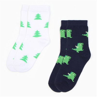 Носки детские KAFTAN «Дракоши», набор 2 пары, размер 14-16