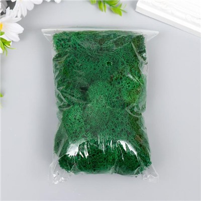 Мох стабилизированный «Ярко-зелёный» 45 г (±5 г)