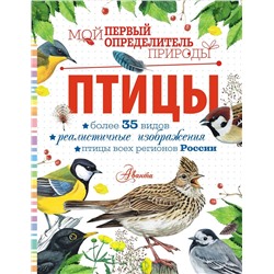 АСТ Рахчеева М.В. "Птицы"