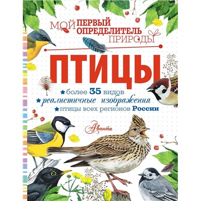 АСТ Рахчеева М.В. "Птицы"