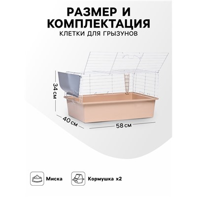 Клетка для грызунов «Пижон» №1 складная, 58×40×34 см, миска, 2 кормушки, бежевая