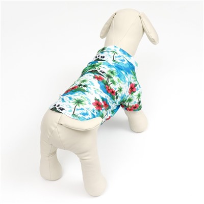 Рубашка для собак «Тропики», размер XS, ДС 20. ОГ 28, ОШ 19 см, голубая