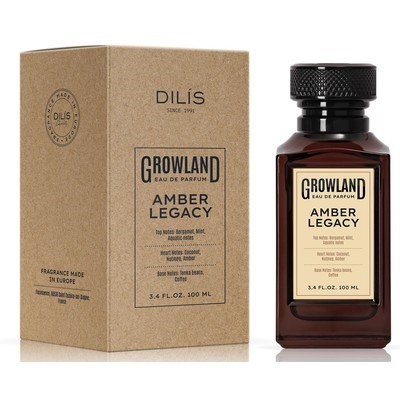 Парфюмерная вода мужская  Amber Legacy 100мл