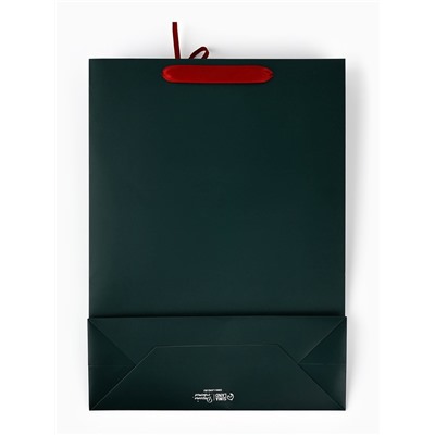 Пакет подарочный «С Новым годом», с ёлочной игрушкой и шильдиком, 31×40×11 см